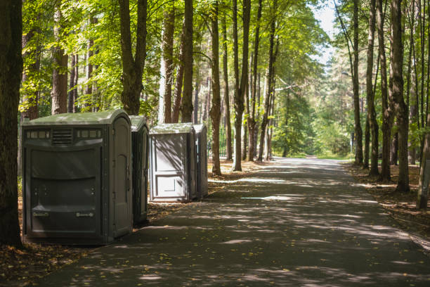 Best Sanitation services for porta potties  in Picacho Hills, NM